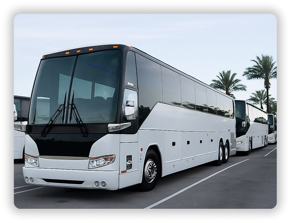 Bus Types & Passenger Bus Options | Miami Motor Coach